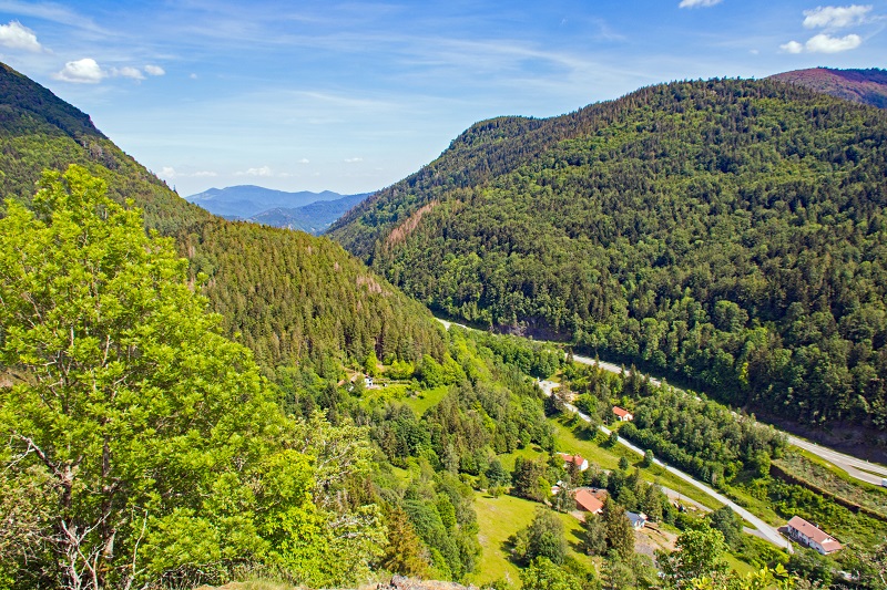 randonneedrumont-par-sentier-des-russiers-5.jpg
