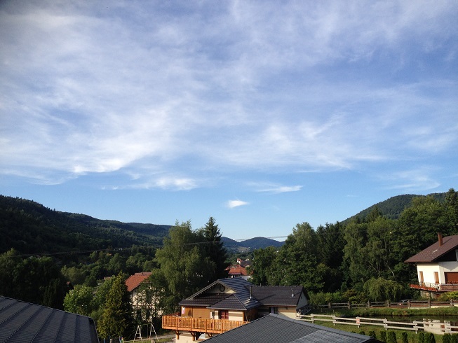 745003779_8.jpg