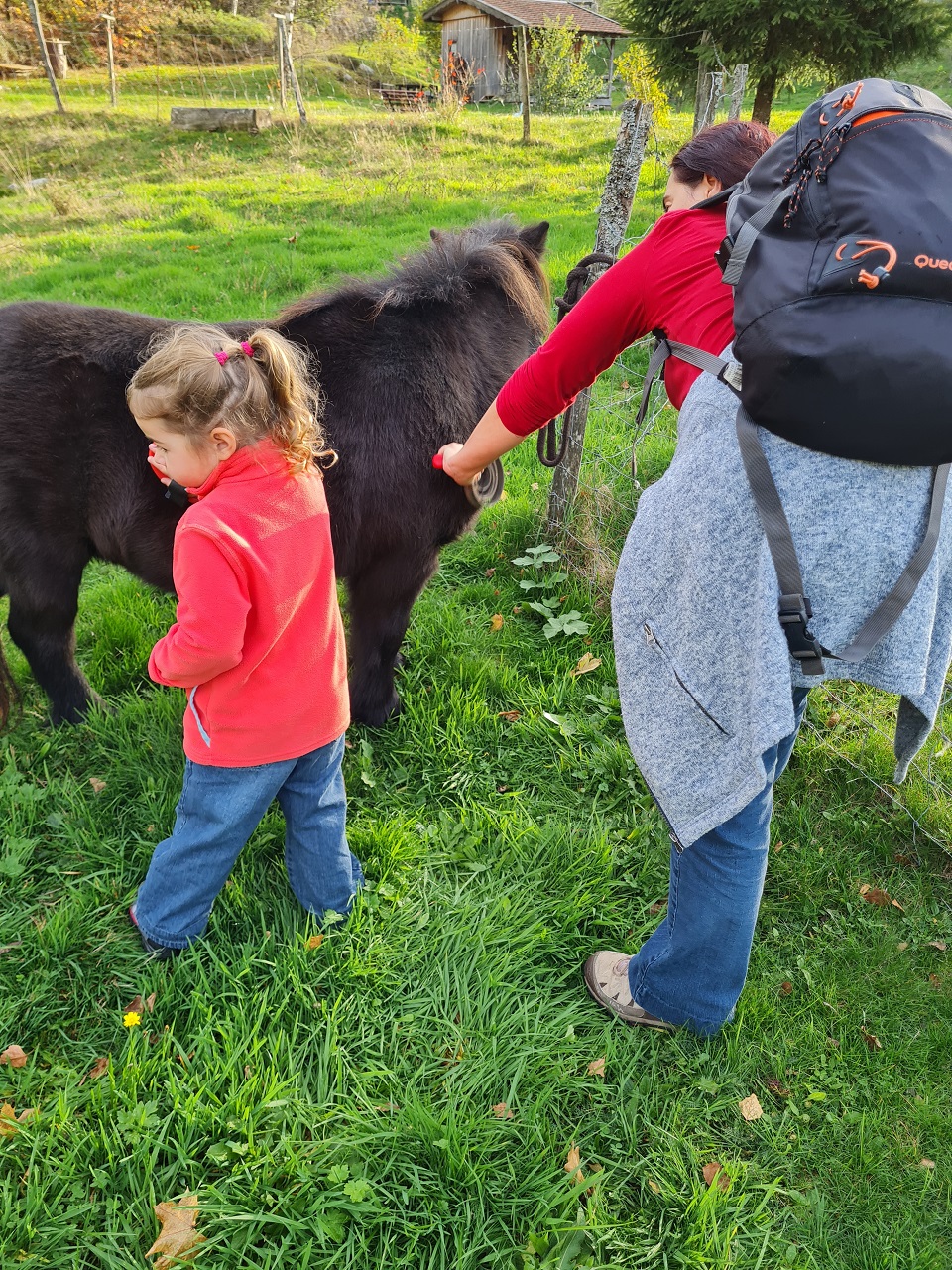 Un après-midi à la ferme avec les poneys VENTRON