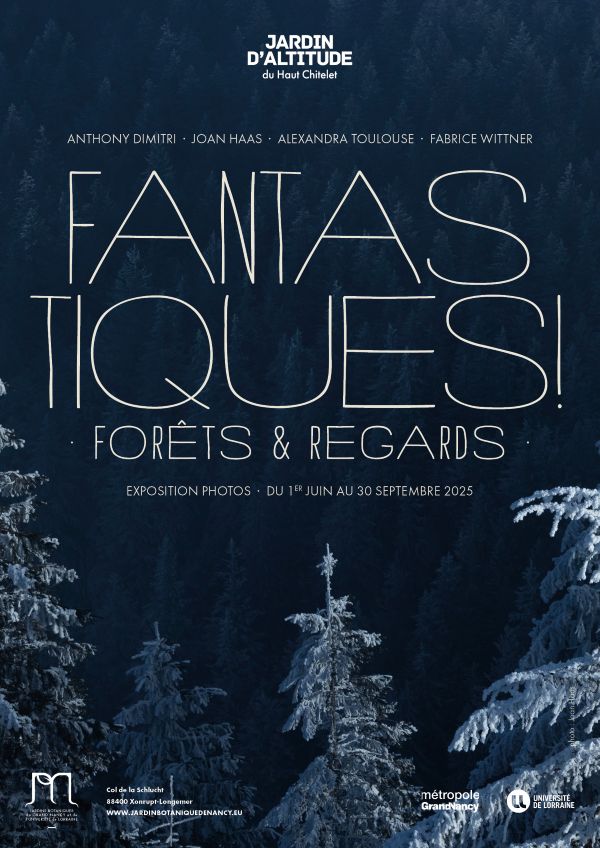 Exposition : fantastiques