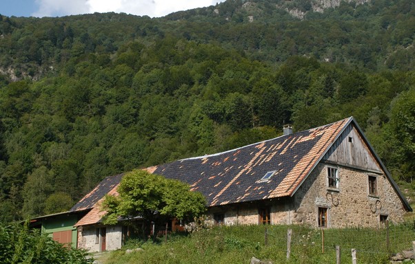 ferme-auberge-hinteralfeld-6.jpg