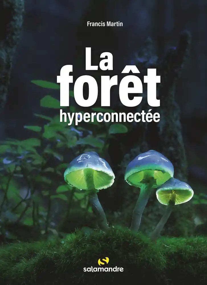 La forêt hyperconnectée XONRUPT LONGEMER