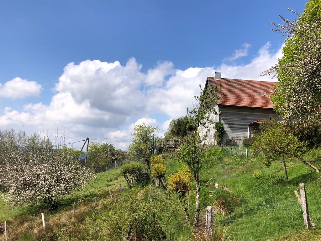 gite-du-draimont-fresse-sur-moselle-1.jpg