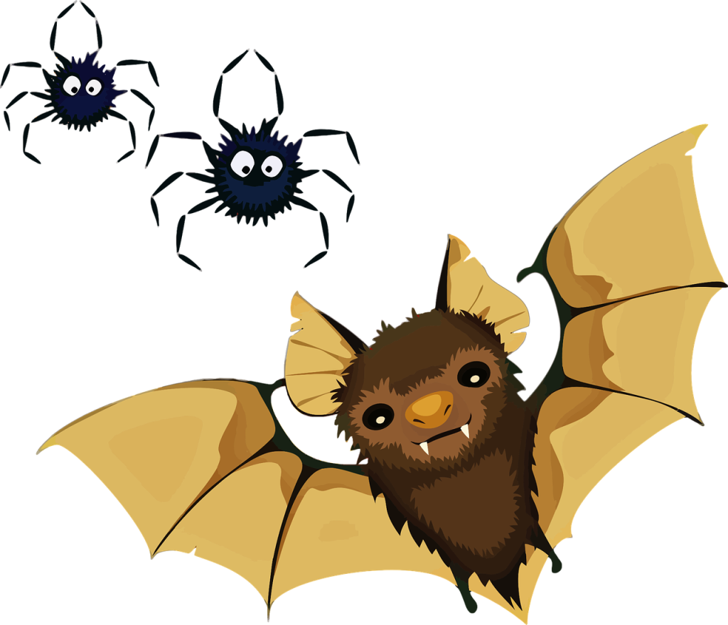Nuit internationale de la chauve-souris LE THILLOT
