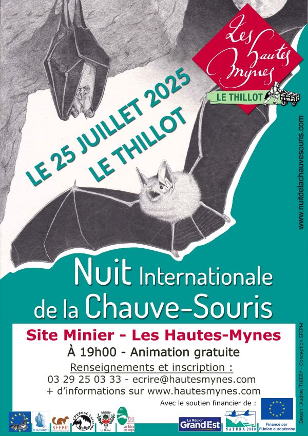 nuit-chauve-souris-le-thillot2.jpg