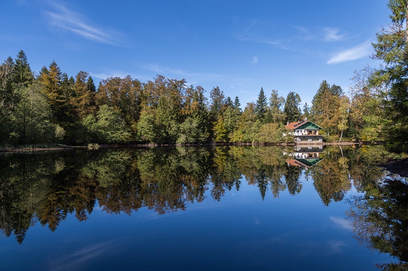 plateau-des-mille-etangs-6.jpg
