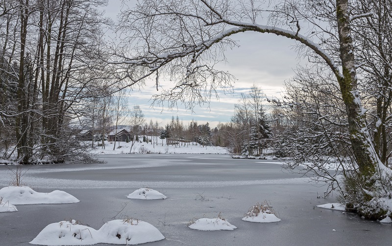 plateau-des-mille-etangs-8.jpg