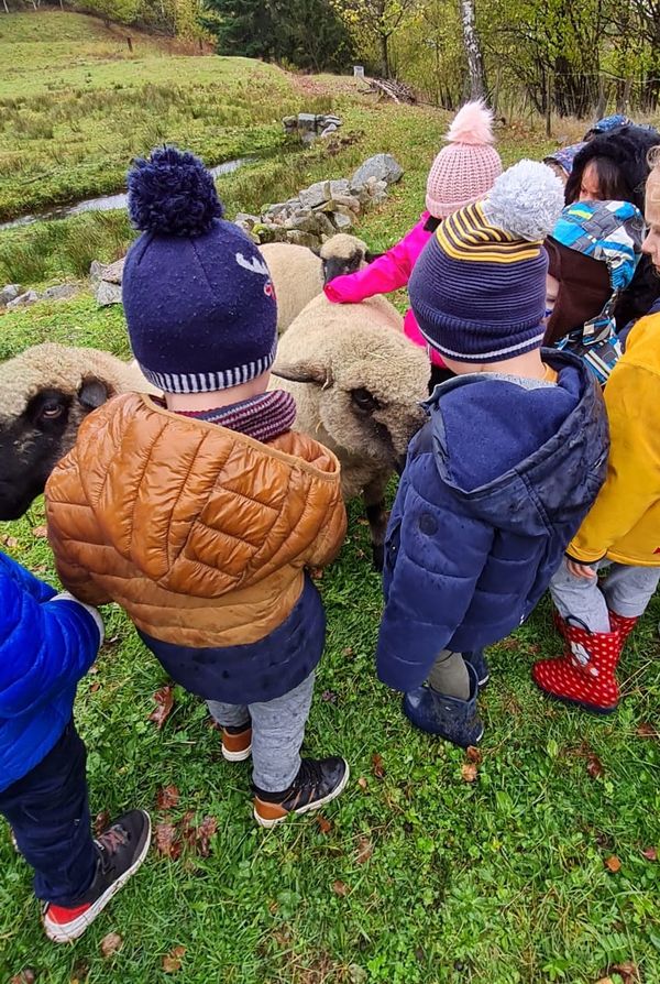 Visite guidée de la ferme VENTRON