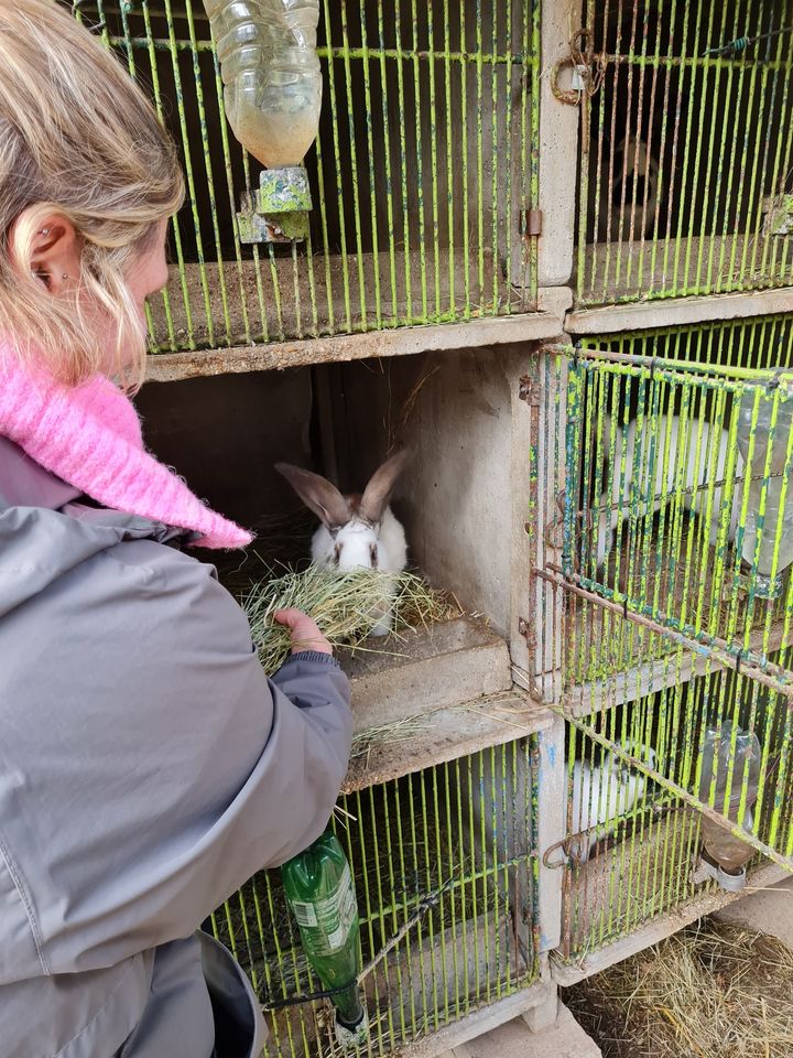 visite-guidee-ferme-ventron2.jpg