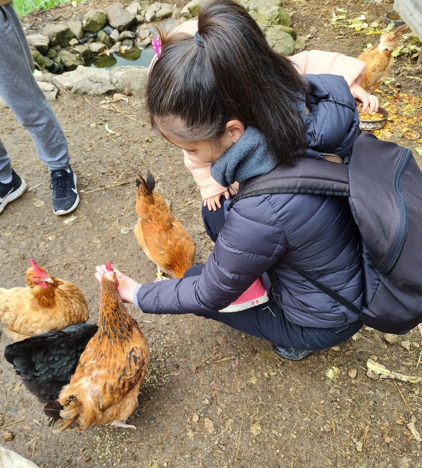 visite-guidee-ferme-ventron3.jpg