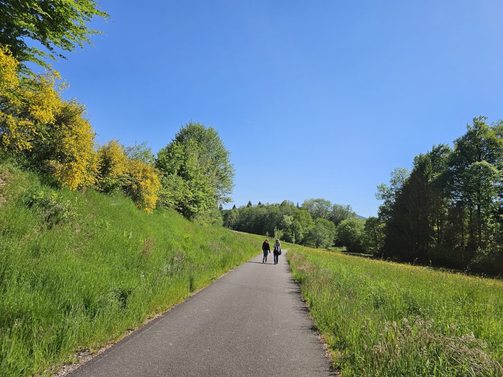 voie-du-tacot-le-thillot-1.jpg