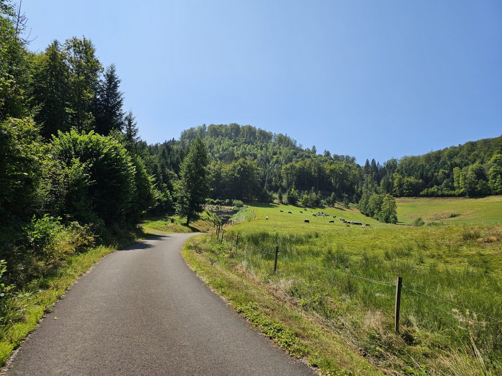 voie-du-tacot-le-thillot-5.jpg