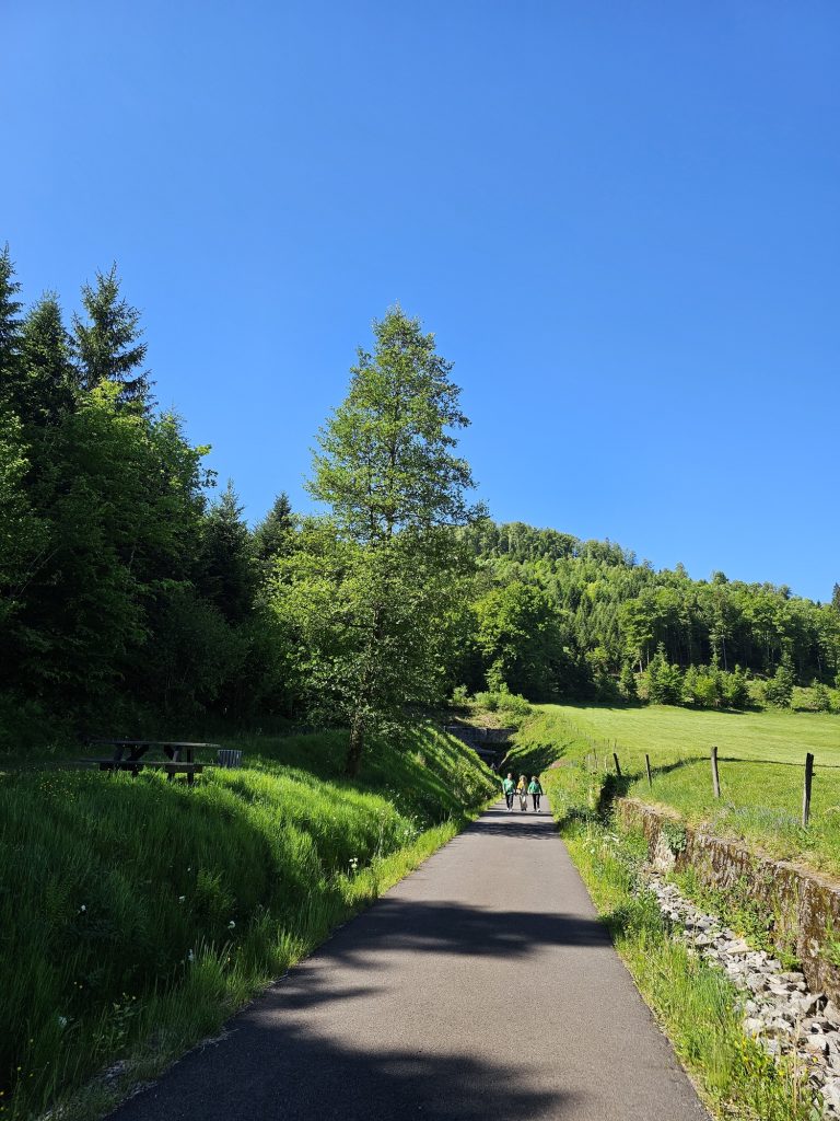 voie-du-tacot-le-thillot-6.jpg