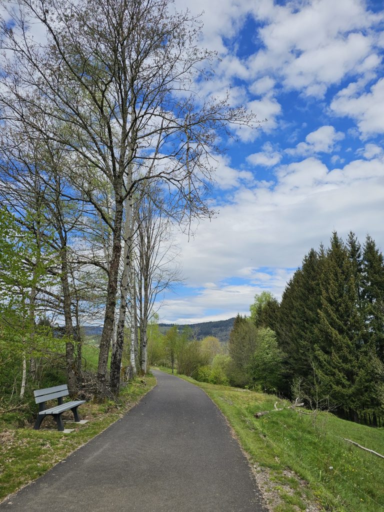 voie-du-tacot-le-thillot-7.jpg