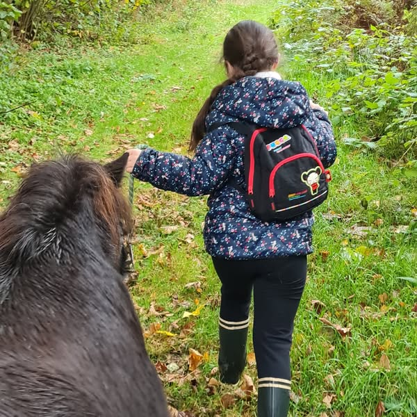 Un après-midi à la ferme avec les poneys VENTRON