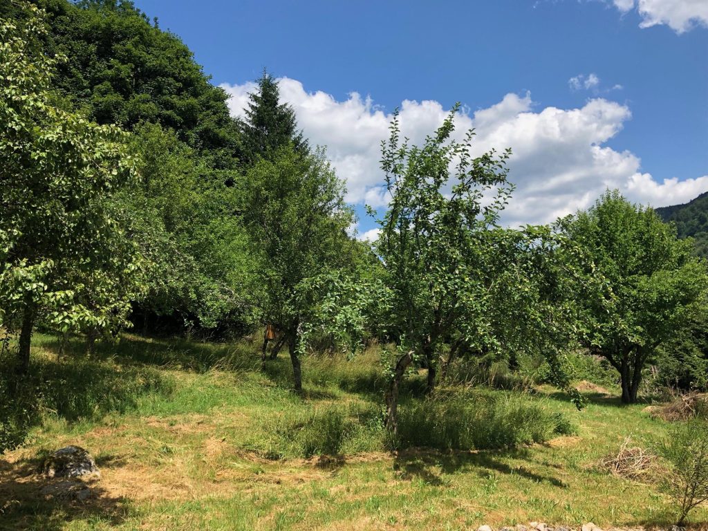 chambres-dhotes-le-jardin-des-cerfs-bussang-10.jpeg