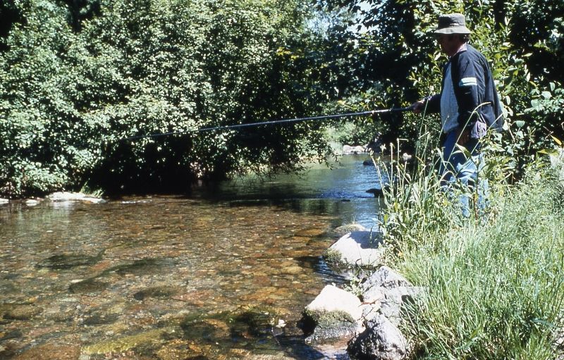 Pêche en rivière BUSSANG