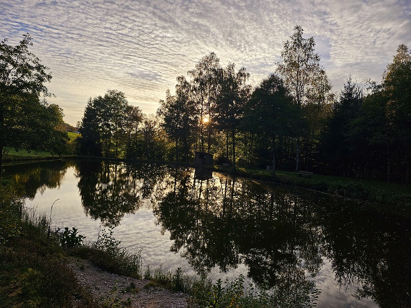 peche-etang-des-fenesses-3.jpg