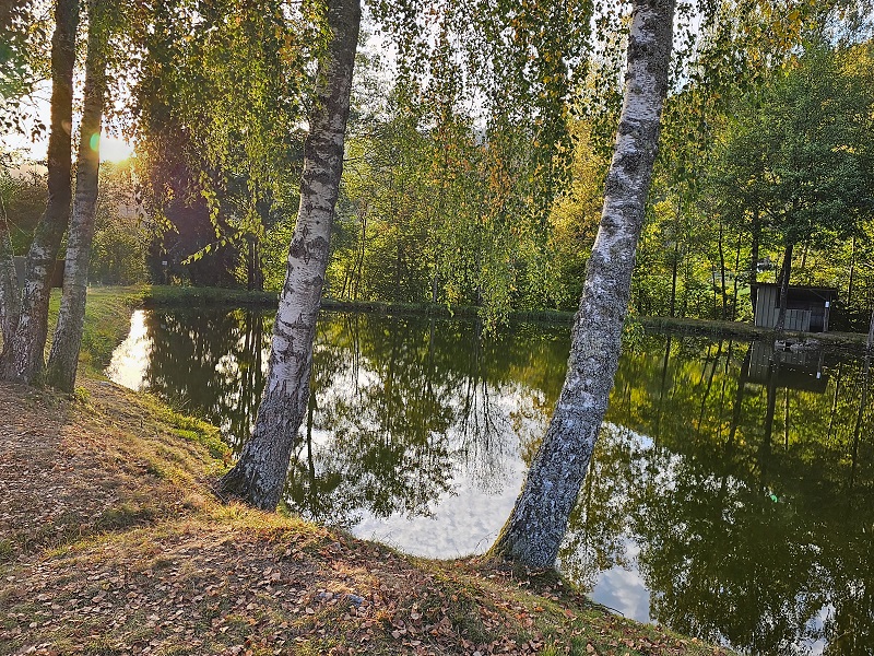 RemasterDirector_1a5c03258