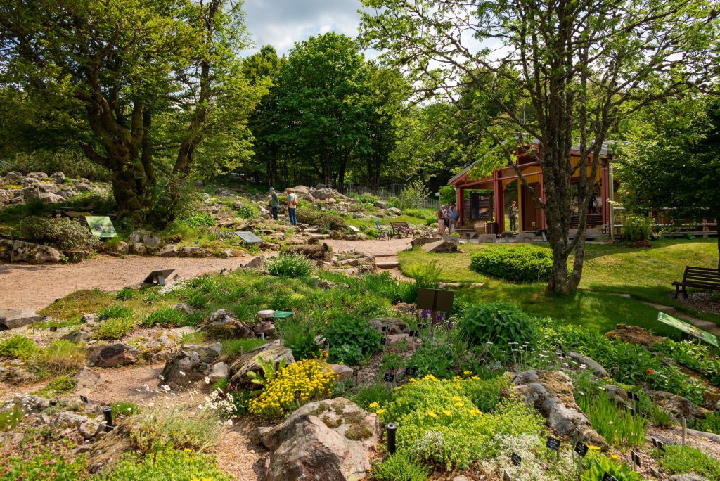 Jardin d'Altitude du Haut Chitelet XONRUPT LONGEMER