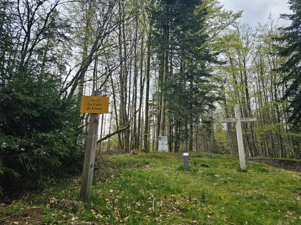 RemasterDirector_18da6b0cf