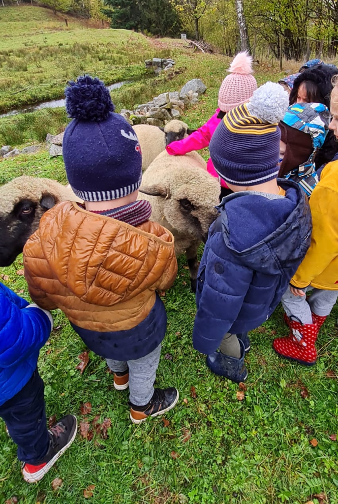 Complicités animales - Ferme pédagogique VENTRON