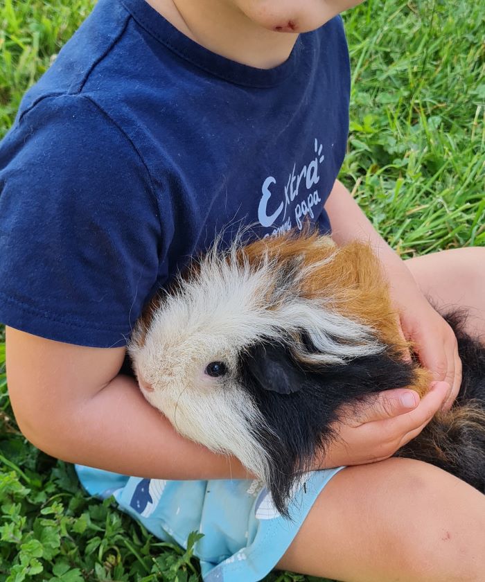 Les ateliers pour les tout-petits VENTRON