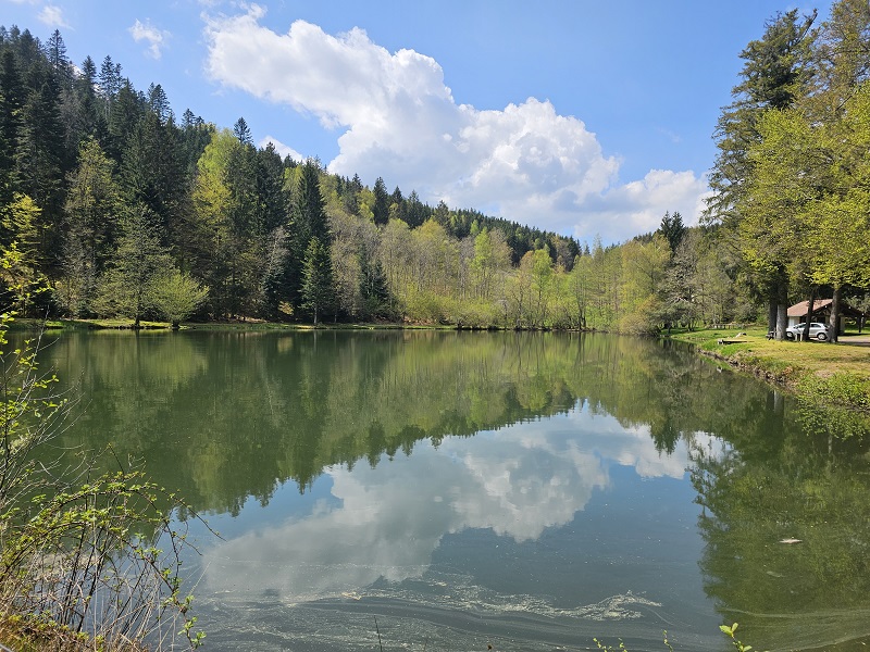 peche-etang-du-frac-2.jpg