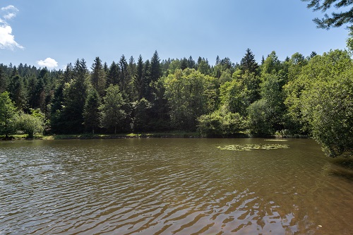 peche-etang-du-frac-3.jpg