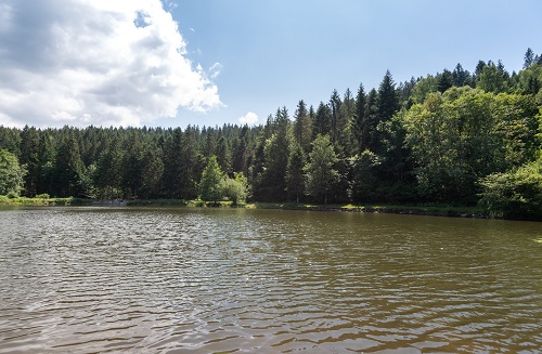 peche-etang-du-frac-4.jpg