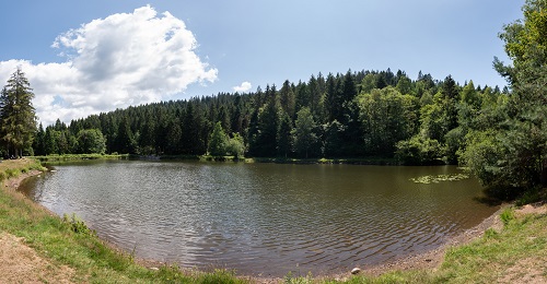 peche-etang-du-frac-6.jpg