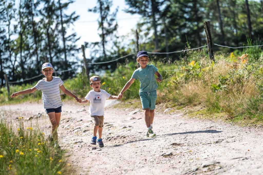 Balade famille - Circuit du Mont de Fourche RUPT SUR MOSELLE