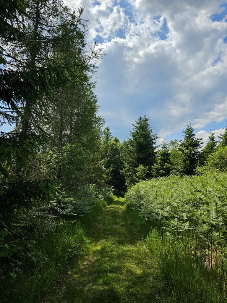 balade-mont-de-fourche-7.jpg