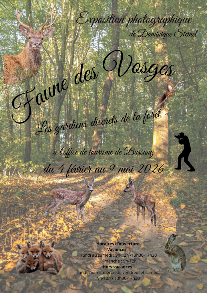 Exposition photographique BUSSANG