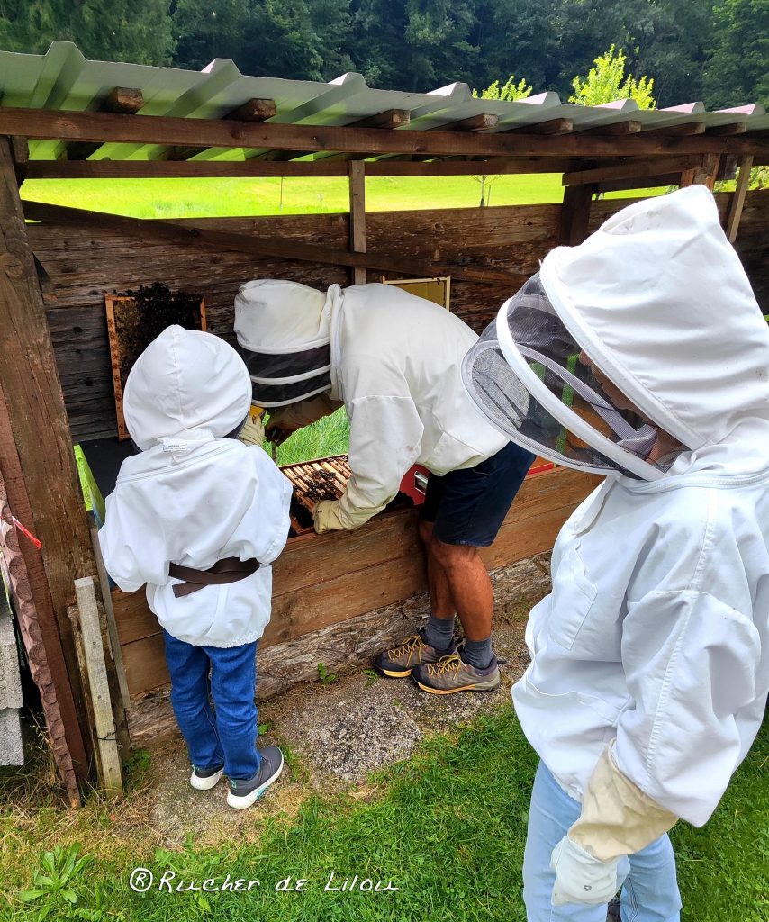 rucher-de-lilou-7.jpg
