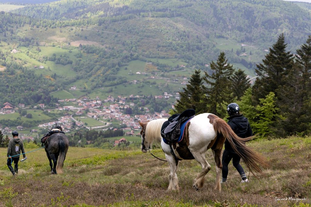 Sabots en goguette BUSSANG
