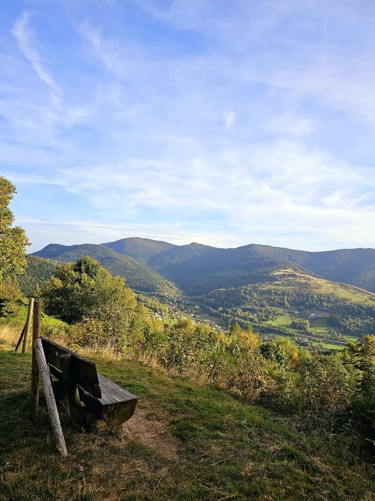 RemasterDirector_1a5c03258