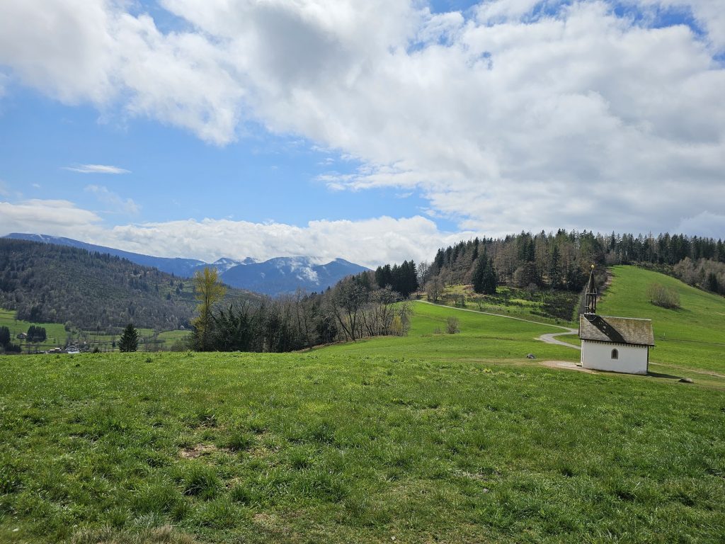 Circuit trail 12 - Le tour des Crêtes LE THILLOT