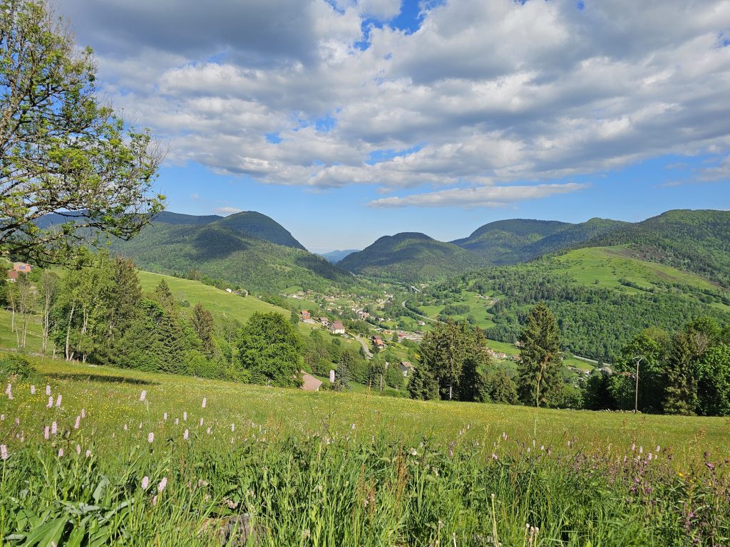 Circuit Trail 3 - Le Larcenaire BUSSANG