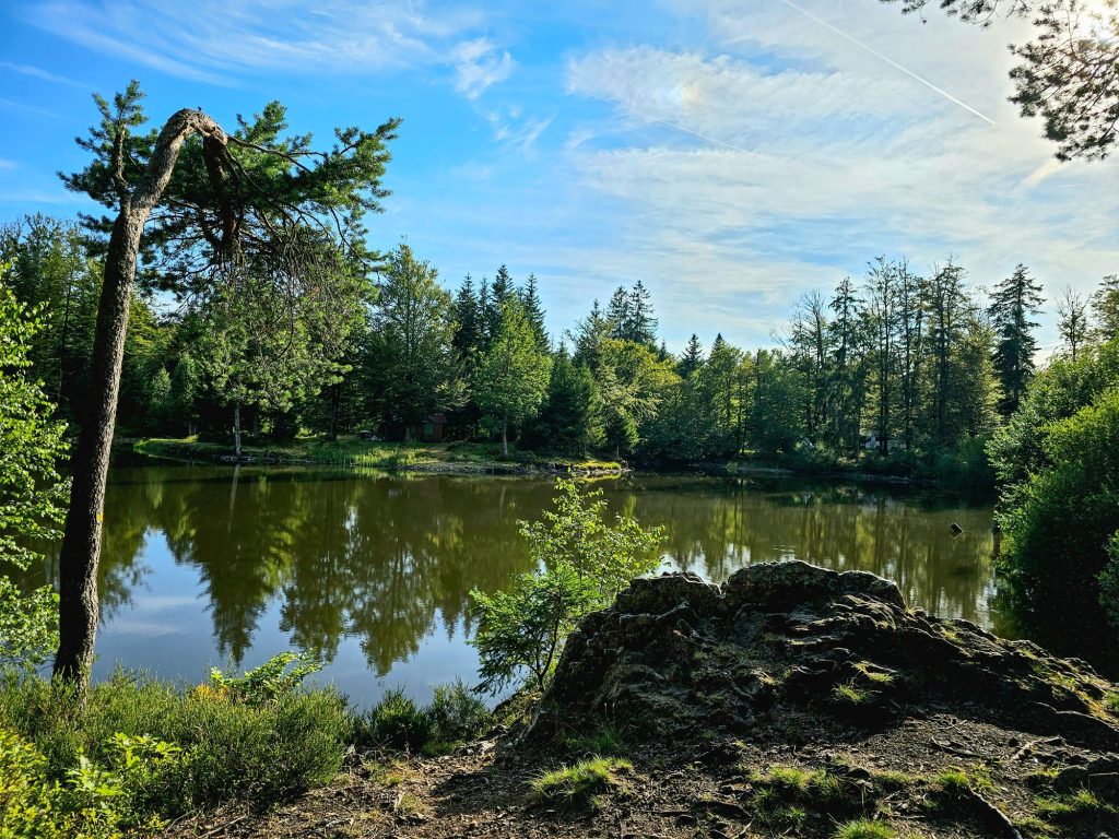 Circuit Trail 5 - Les Étangs RAMONCHAMP