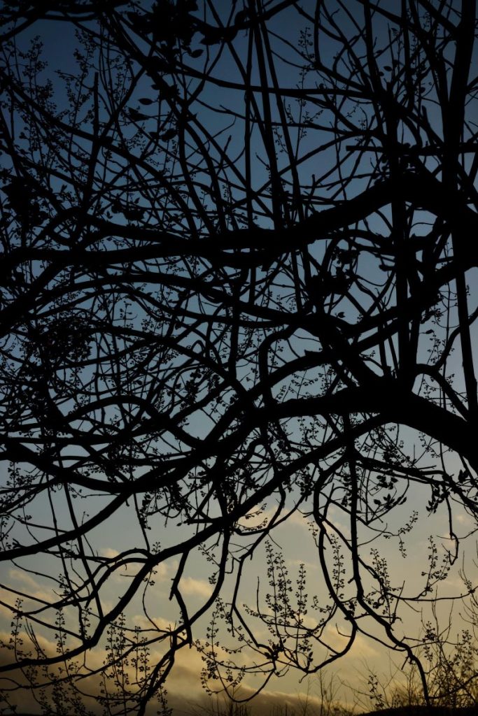 Exposition photo CORNIMONT