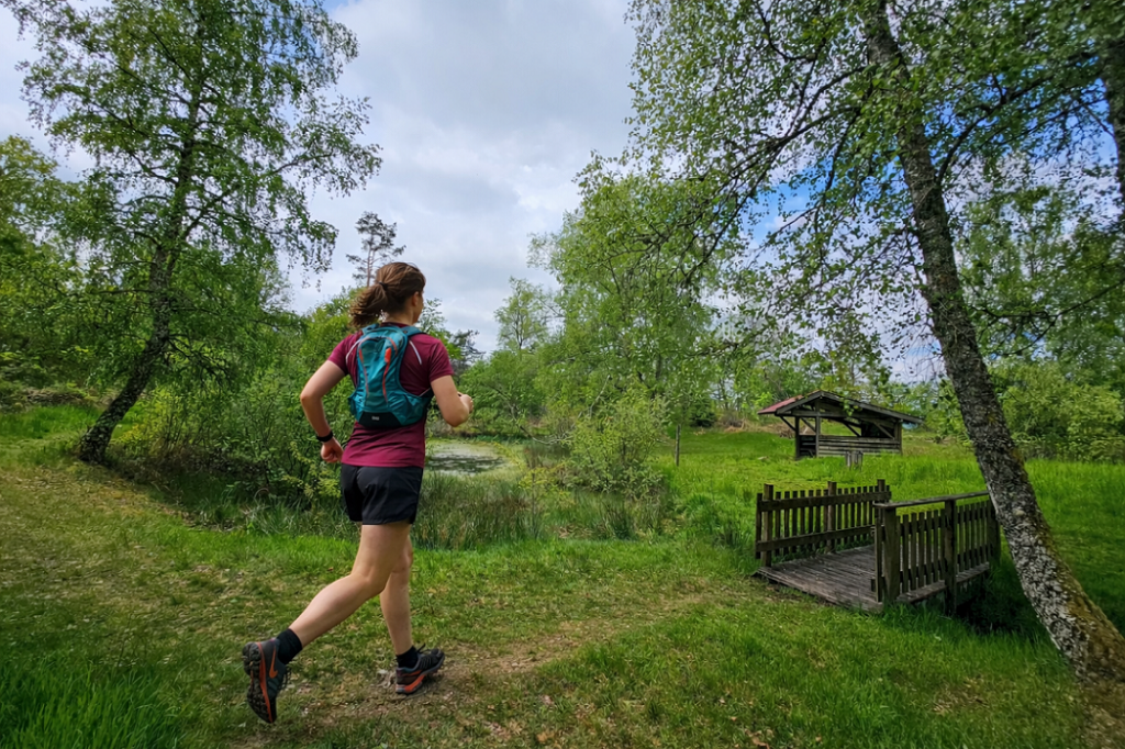 circuit-trail12-le-tour-des-cretes-6.png