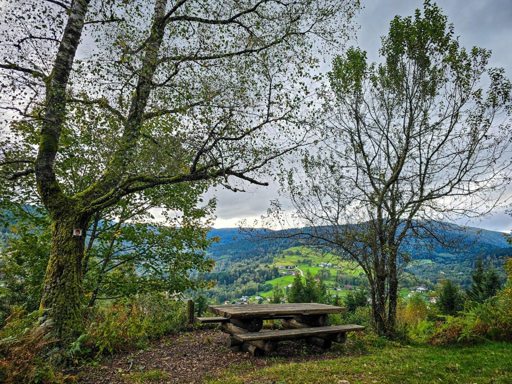 circuit-trail4-le-tour-des-abris-7.jpg