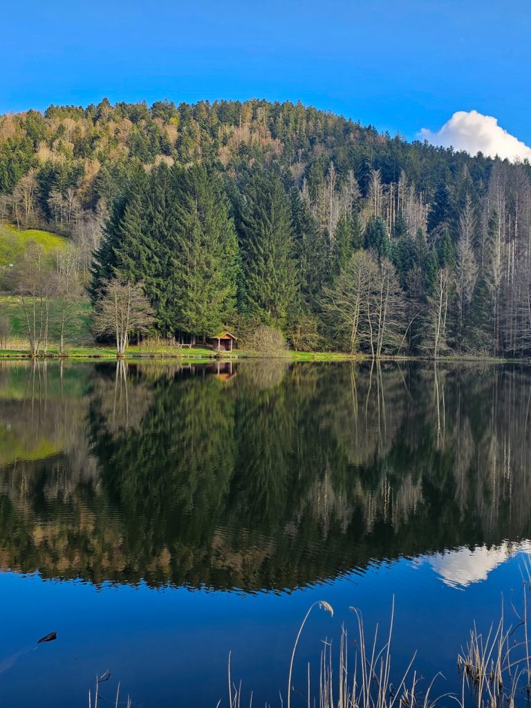 Balade Famille - Entre étangs et forêt de Presles SAINT MAURICE SUR MOSELLE