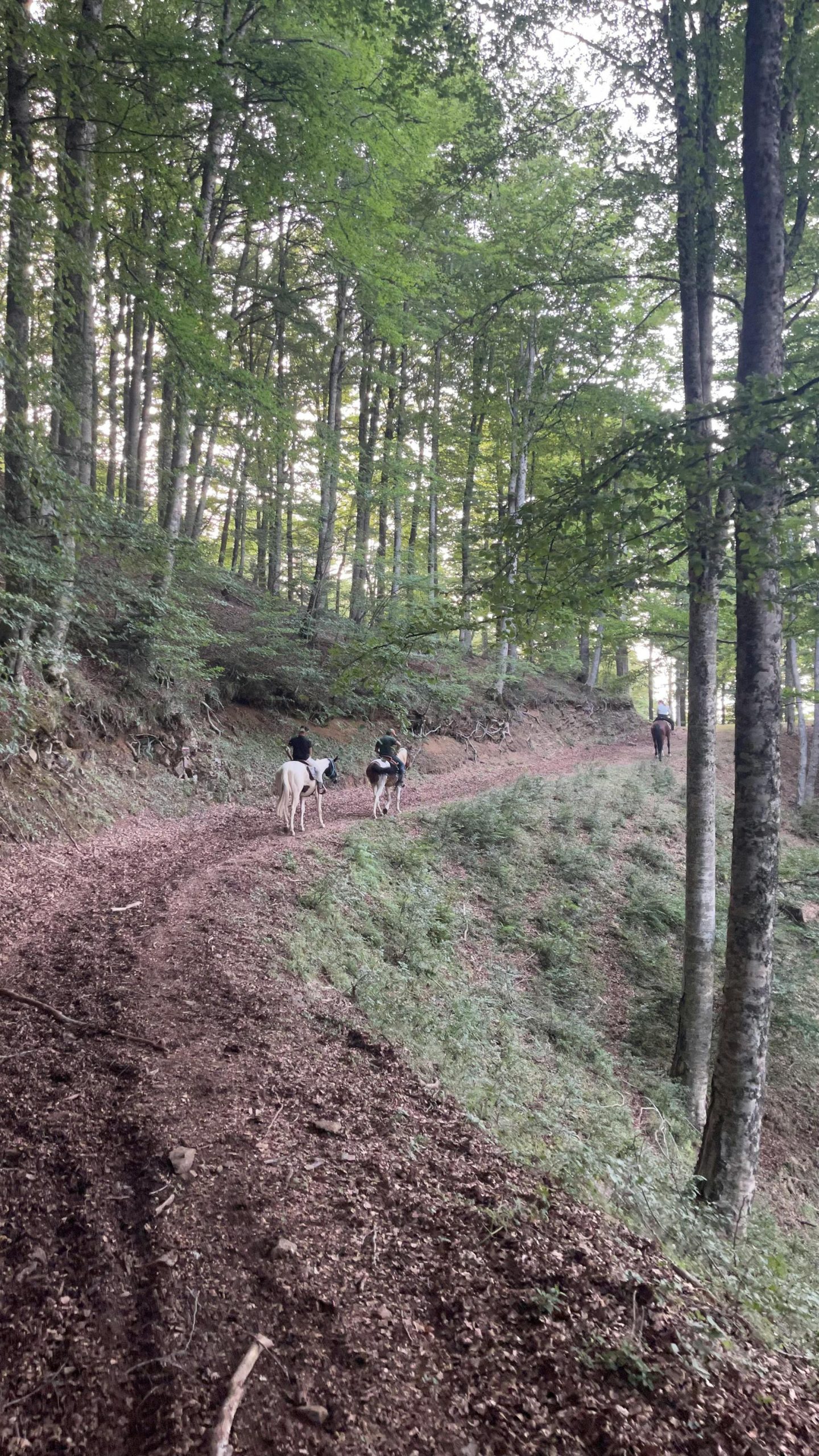 Deux journées à cheval BUSSANG