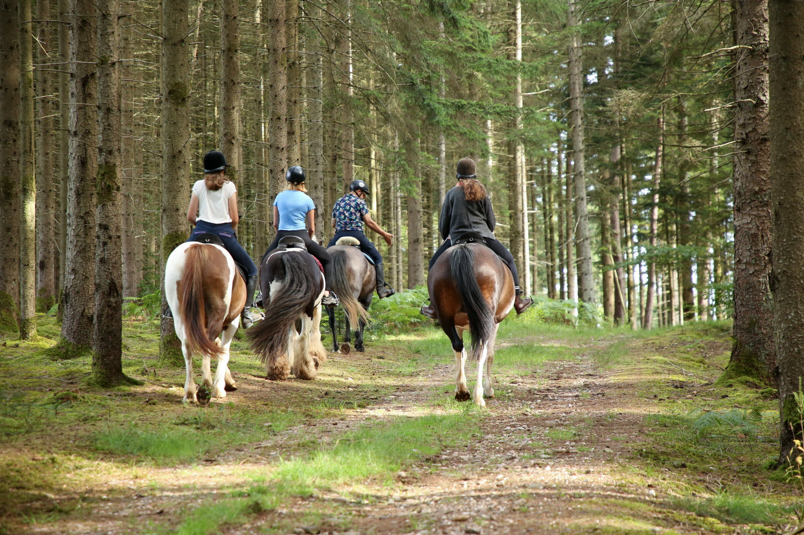 Balade à cheval & goûter gourmand BUSSANG