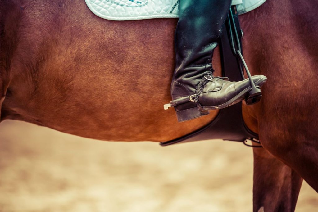 Rando à cheval | Ado BUSSANG