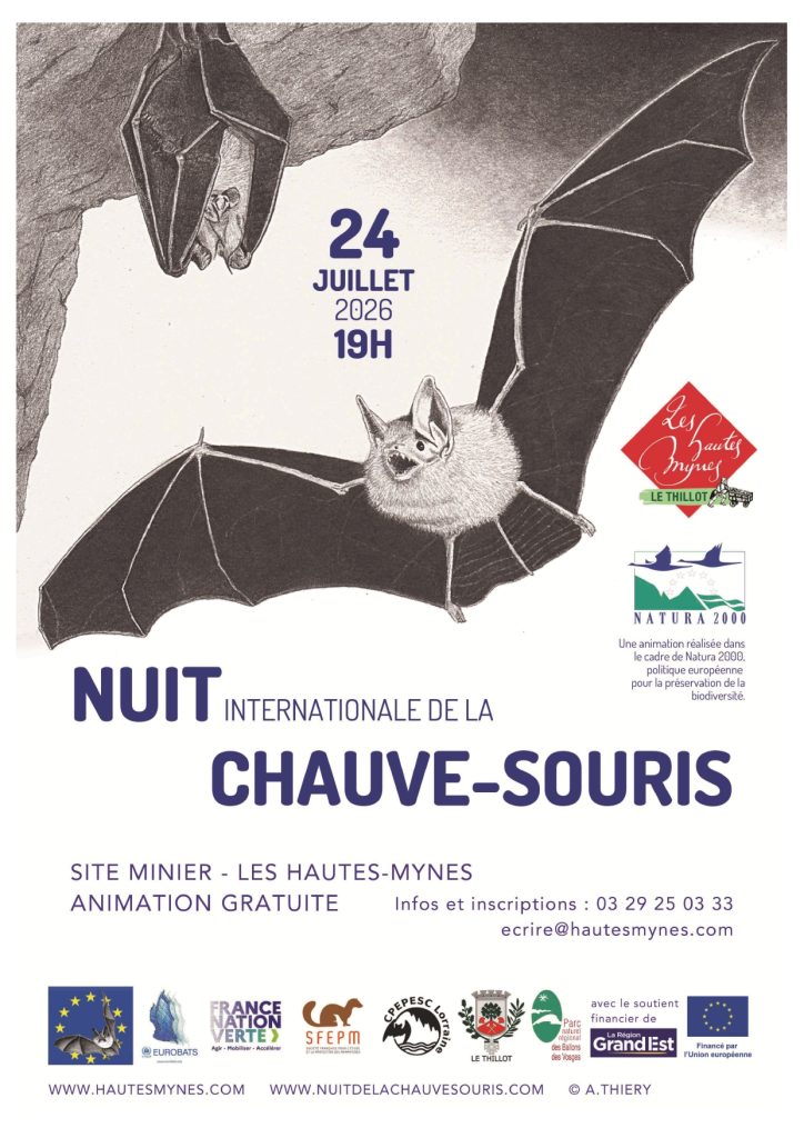 nuit-internationale-hautes-mynes.jpg