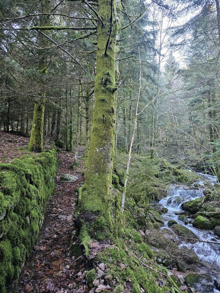 circuit-trail12-le-tour-des-cretes-5.jpg