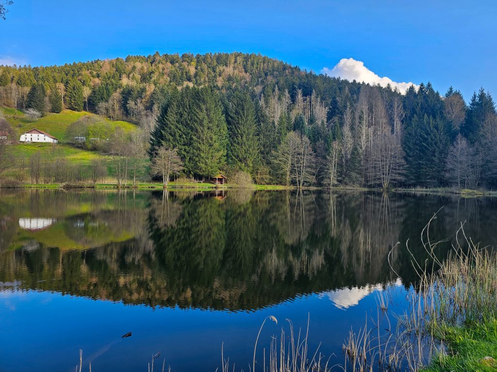 circuit-trail12-le-tour-des-cretes-9.jpg